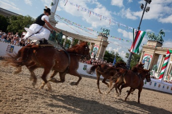 Pferd Wettbewerb in Ungarn