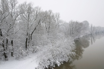 Winter Lanscape in Hungary