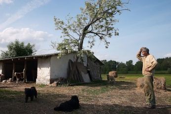 Ungarische Farm