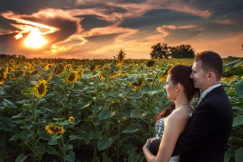 Sunset Wedding Image with Sunflowers