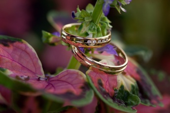 Wedding Ring Macro
