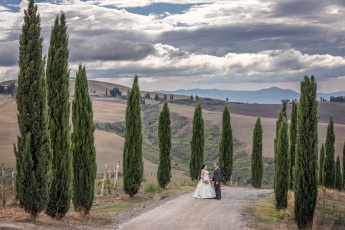 Zypressen in der Toskana mit einem Hochzeitspaar